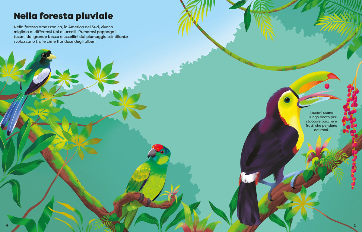 Adesivi scintillanti - Uccelli - Usborne - pagine interne