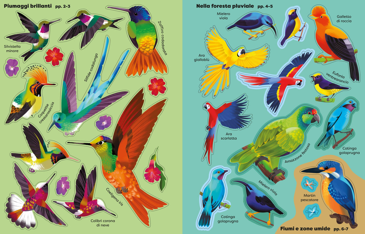 Adesivi scintillanti - Uccelli - Usborne - pagine interne
