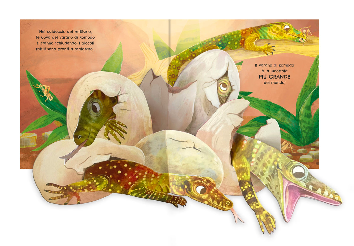 Primi pop-up - Lo zoo - Usborne - pagine interne