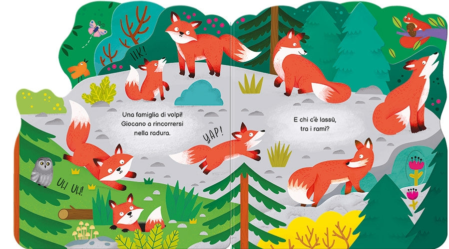 Chi c'è nel bosco? - Usborne - pagine interne