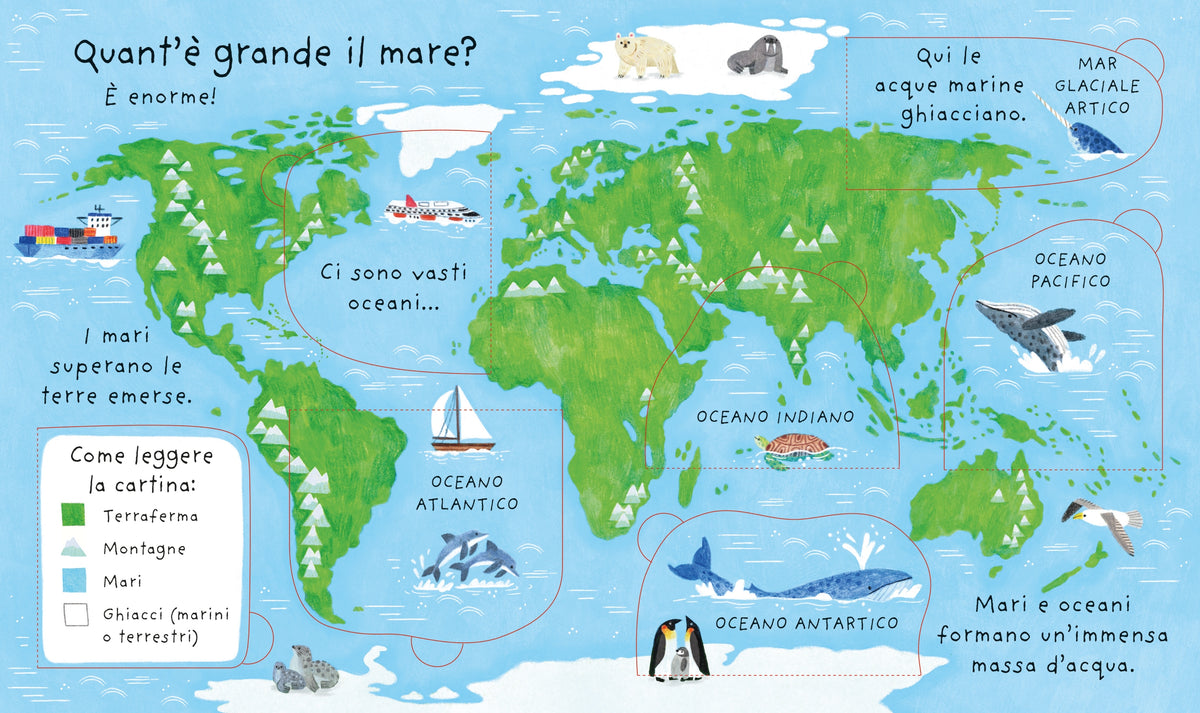Quant'è profondo il mare? - Usborne - pagine interne