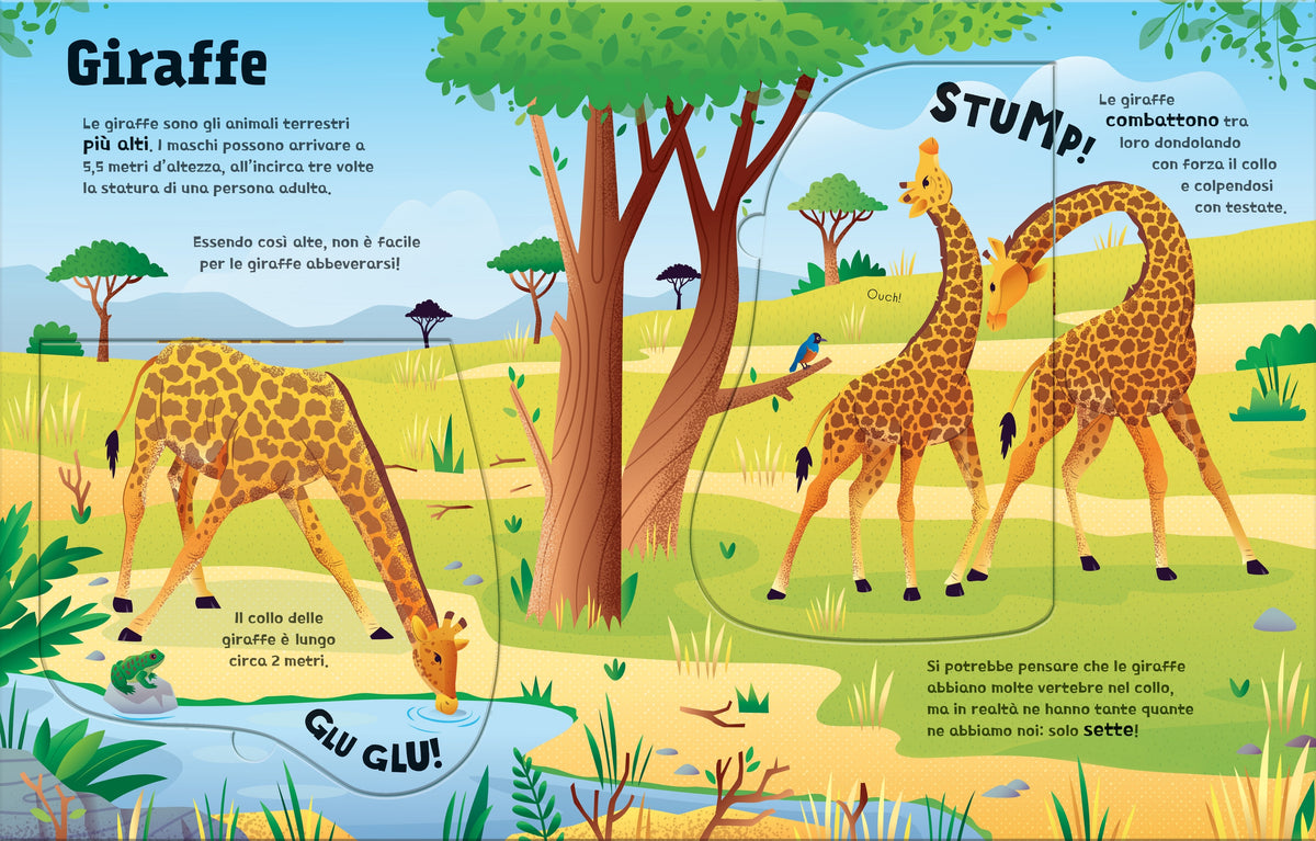 Grandi grandissimi animali - Usborne - pagine interne