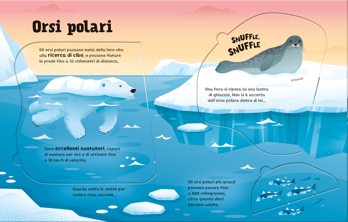 Grandi grandissimi animali - Usborne - pagine interne