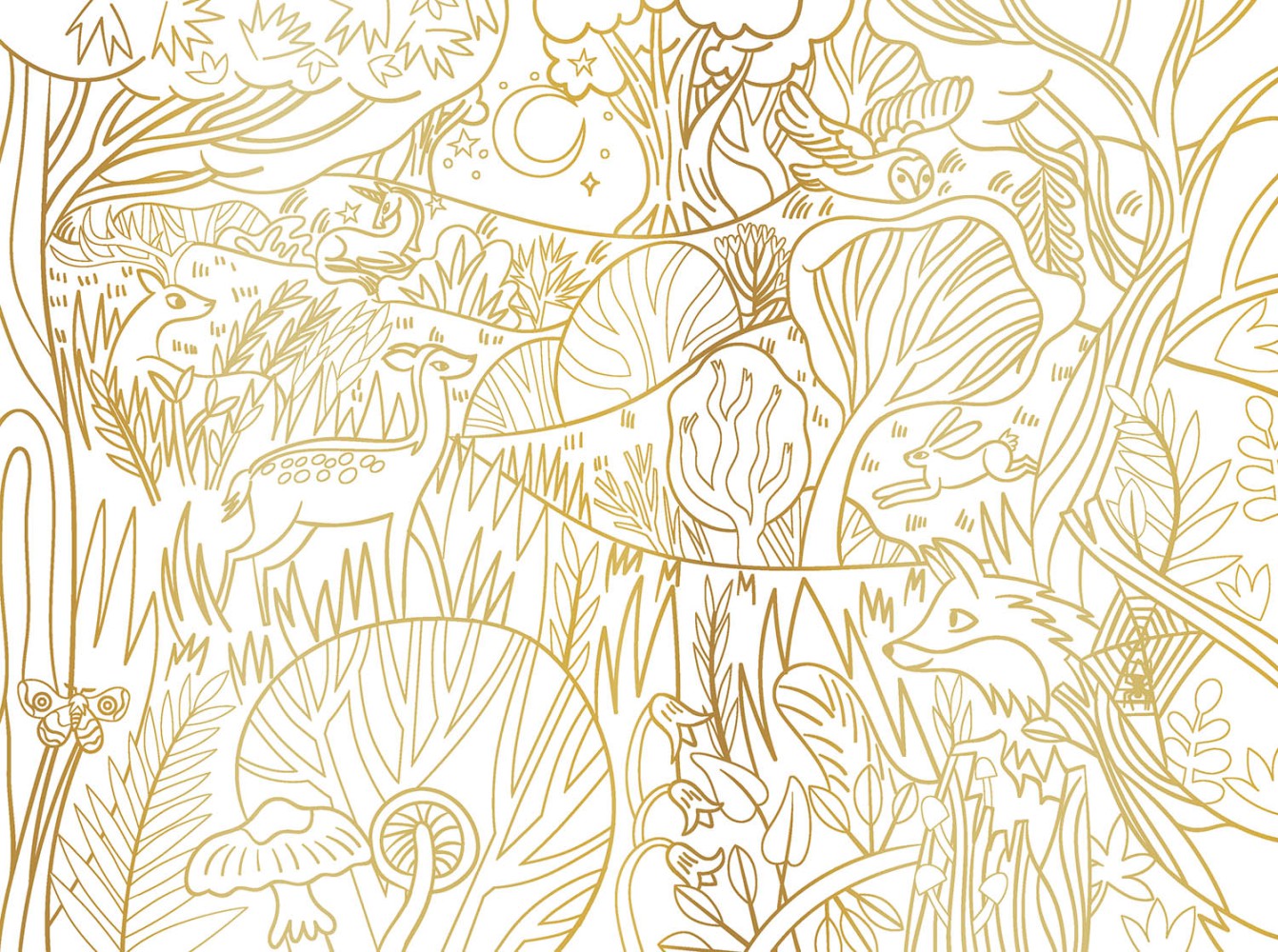 Mon Cahier Créa - Quadri Incantati da Colorare - Centroscuola