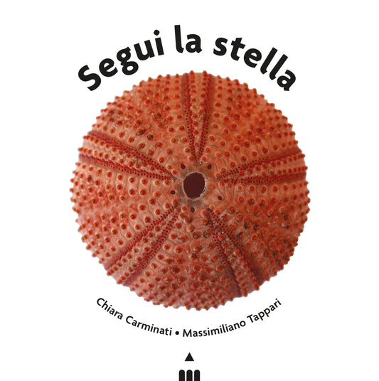 Segui la stella - Centroscuola