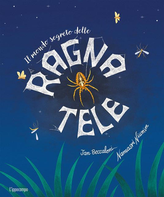 Il mondo segreto delle ragnatele - Centroscuola