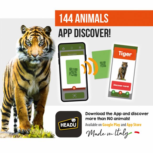 Memorix 108 Animal Cards - Headu - app Discover