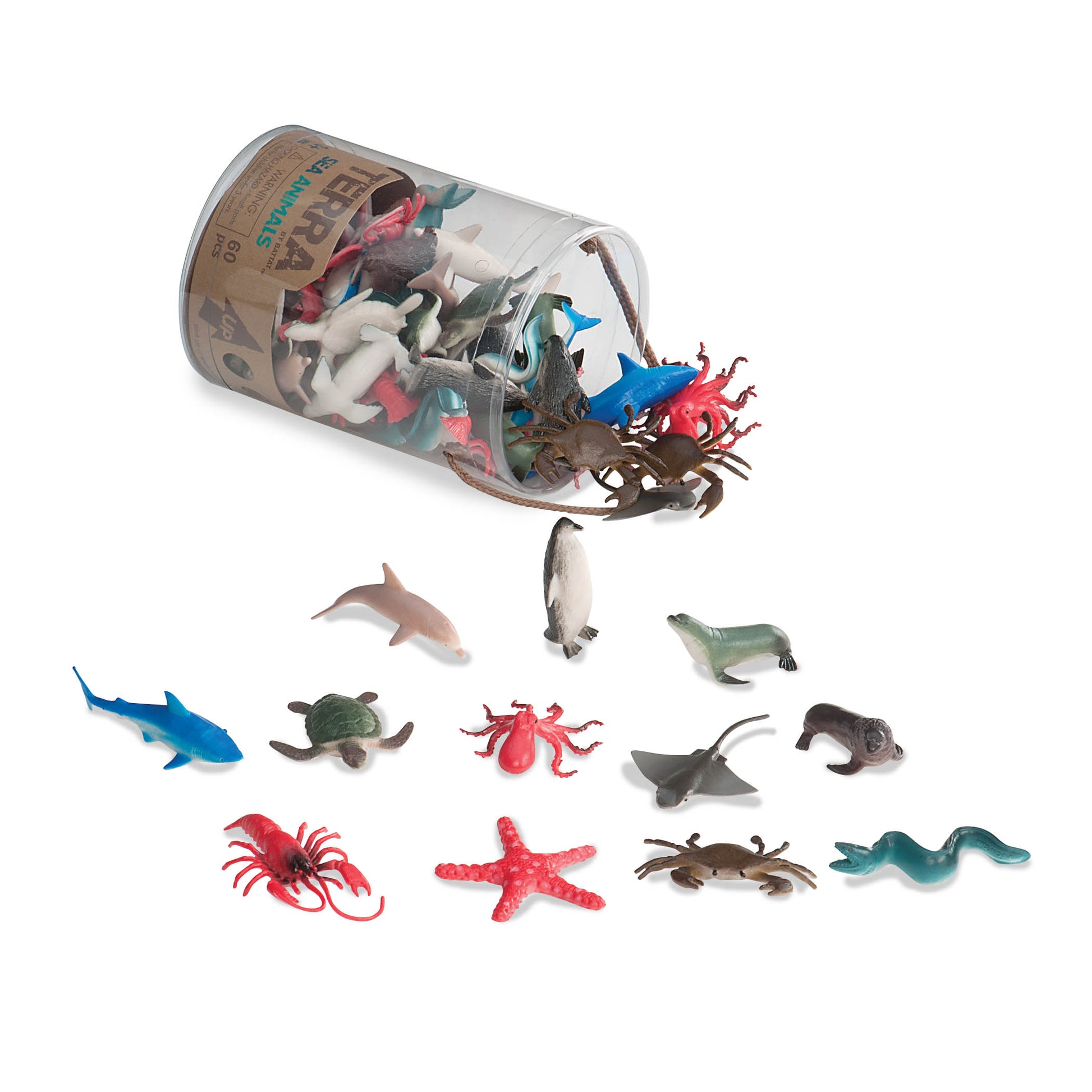 Terra - Sea Animals Bucket - Centroscuola