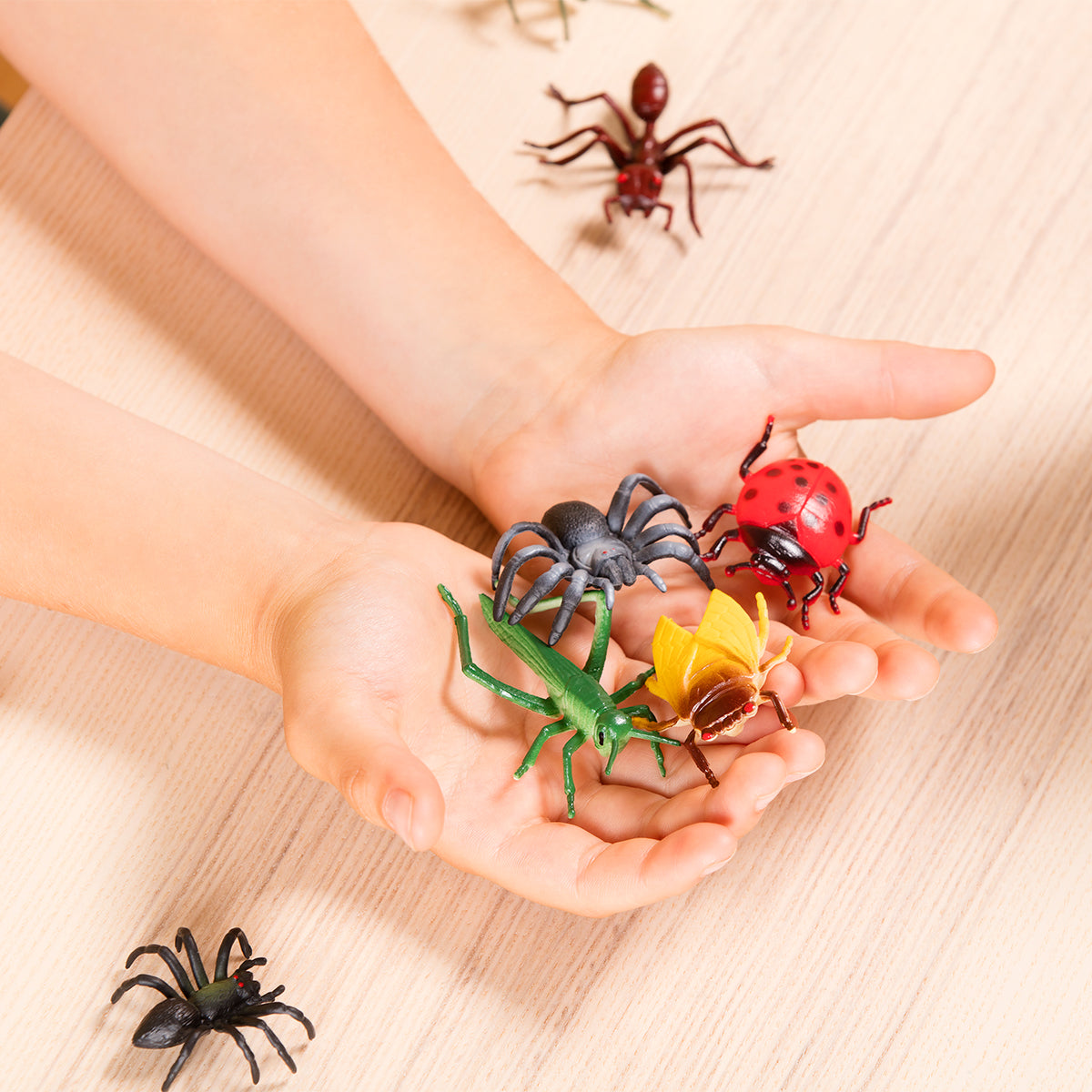 Terra - Insect World Bucket - Centroscuola