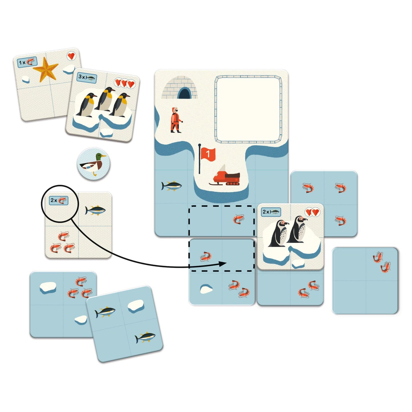 Frostline Djeco - Gioco di Strategia - componenti di gioco