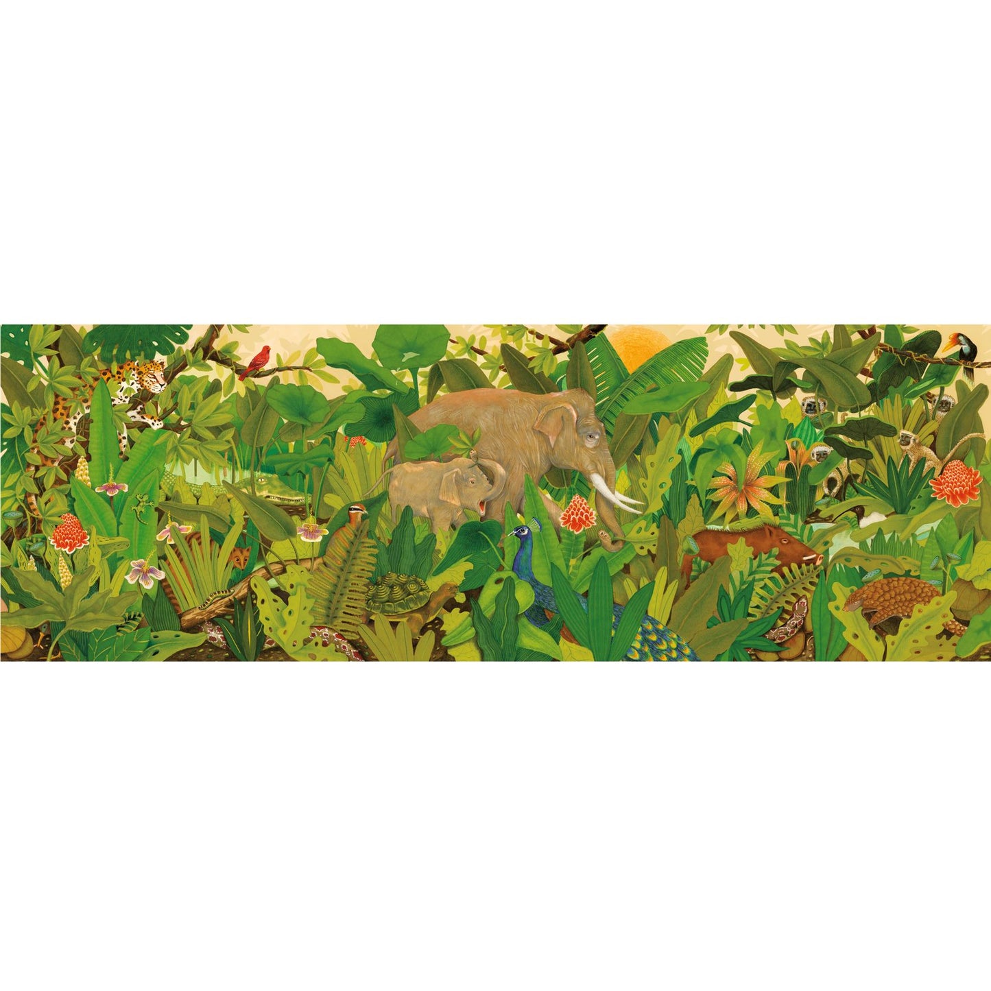 Puzzle Gallery - Hidden in the Nature 1000 pezzi Djeco