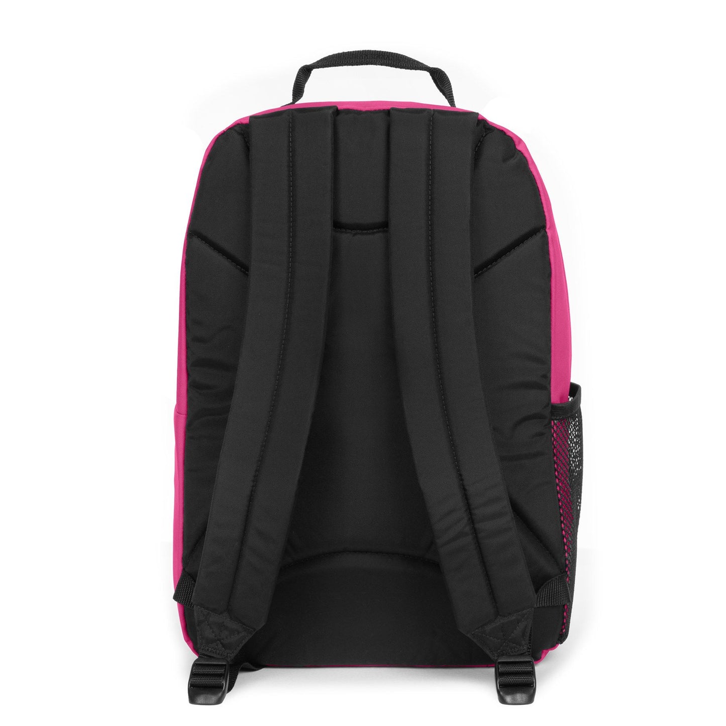 Zaino Eastpak Study Buddy - Pink Escape - Centroscuola
