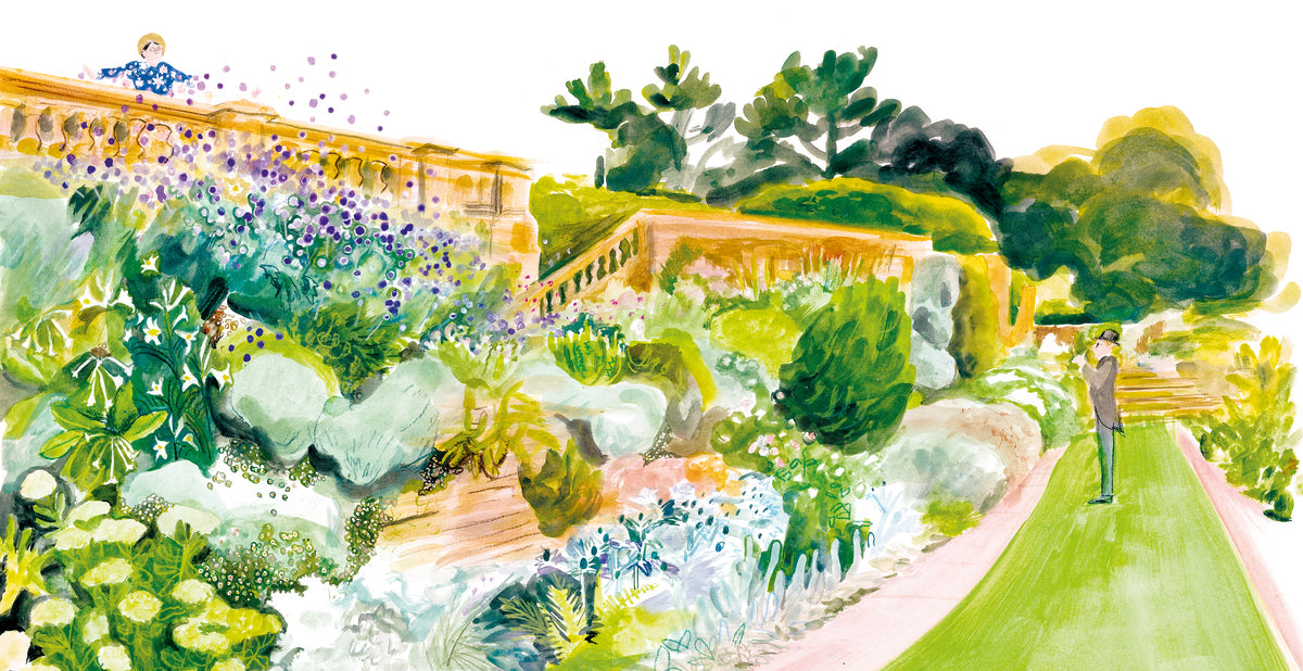 Gertrude. L'arte di creare il giardino - Ángela León - Topipittori - tavola interna 2