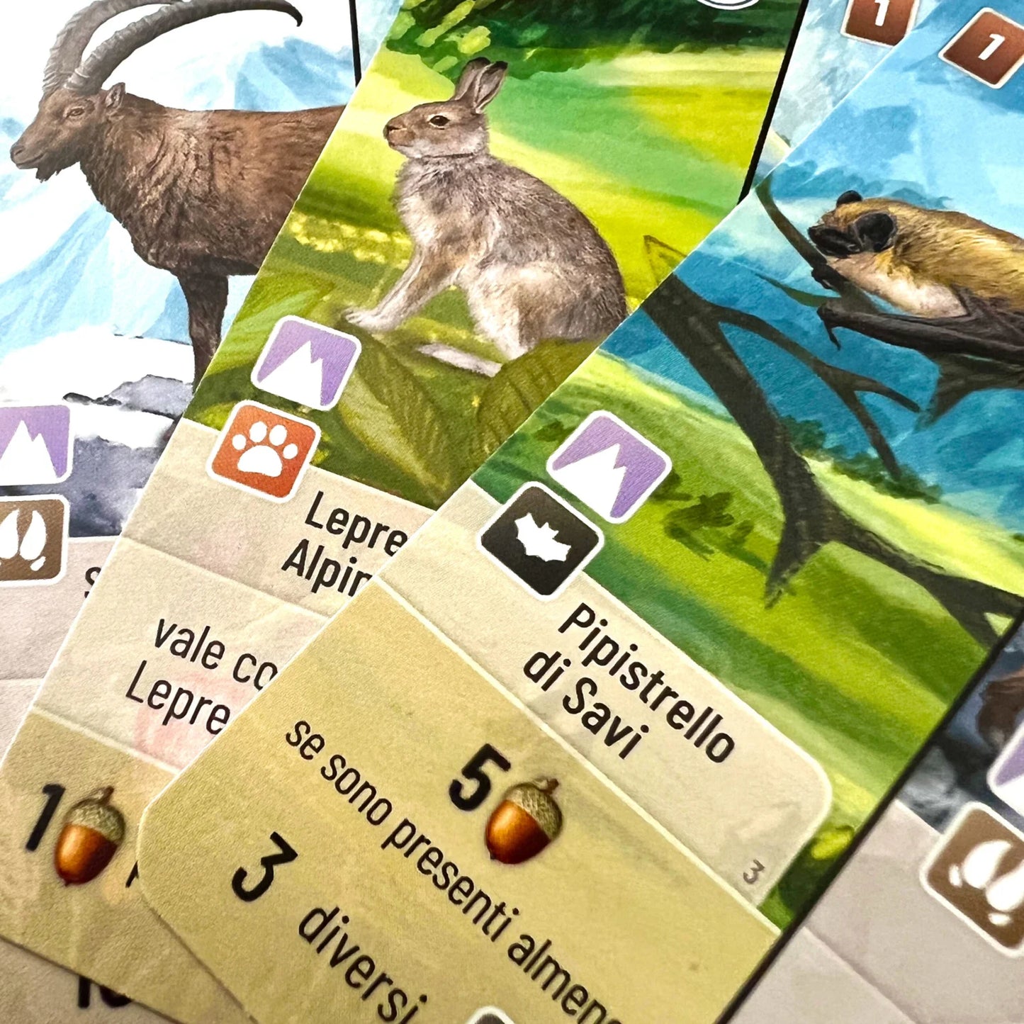 Forest Shuffle – Alpine - Centroscuola