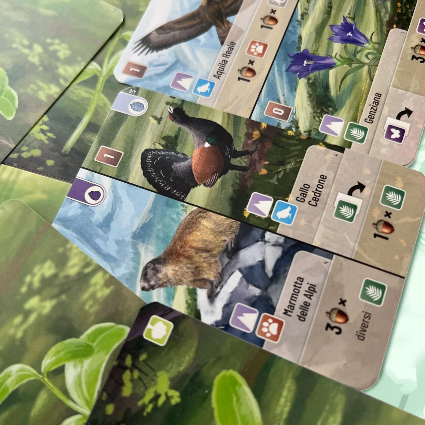 Forest Shuffle – Alpine - Centroscuola