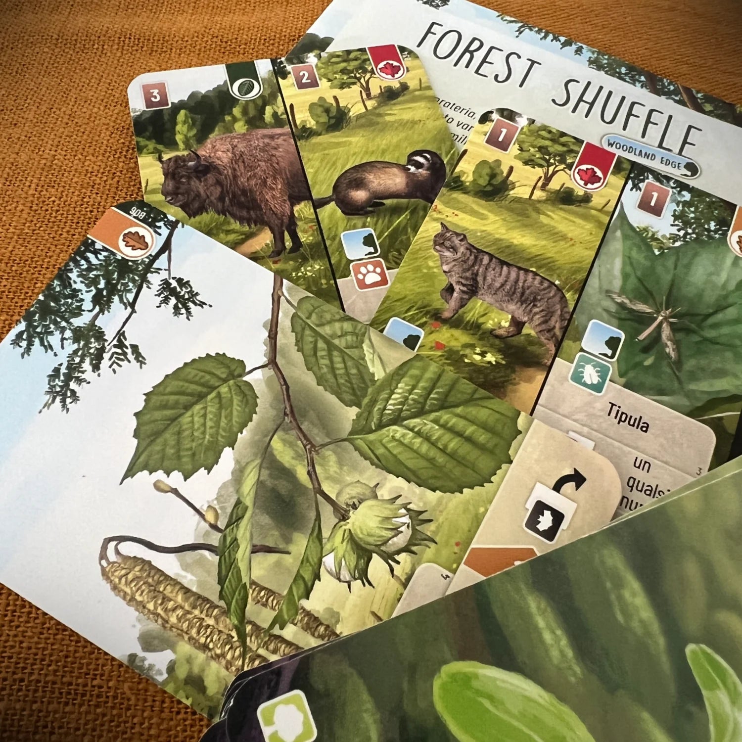 Forest Shuffle – Woodland Edge - Centroscuola