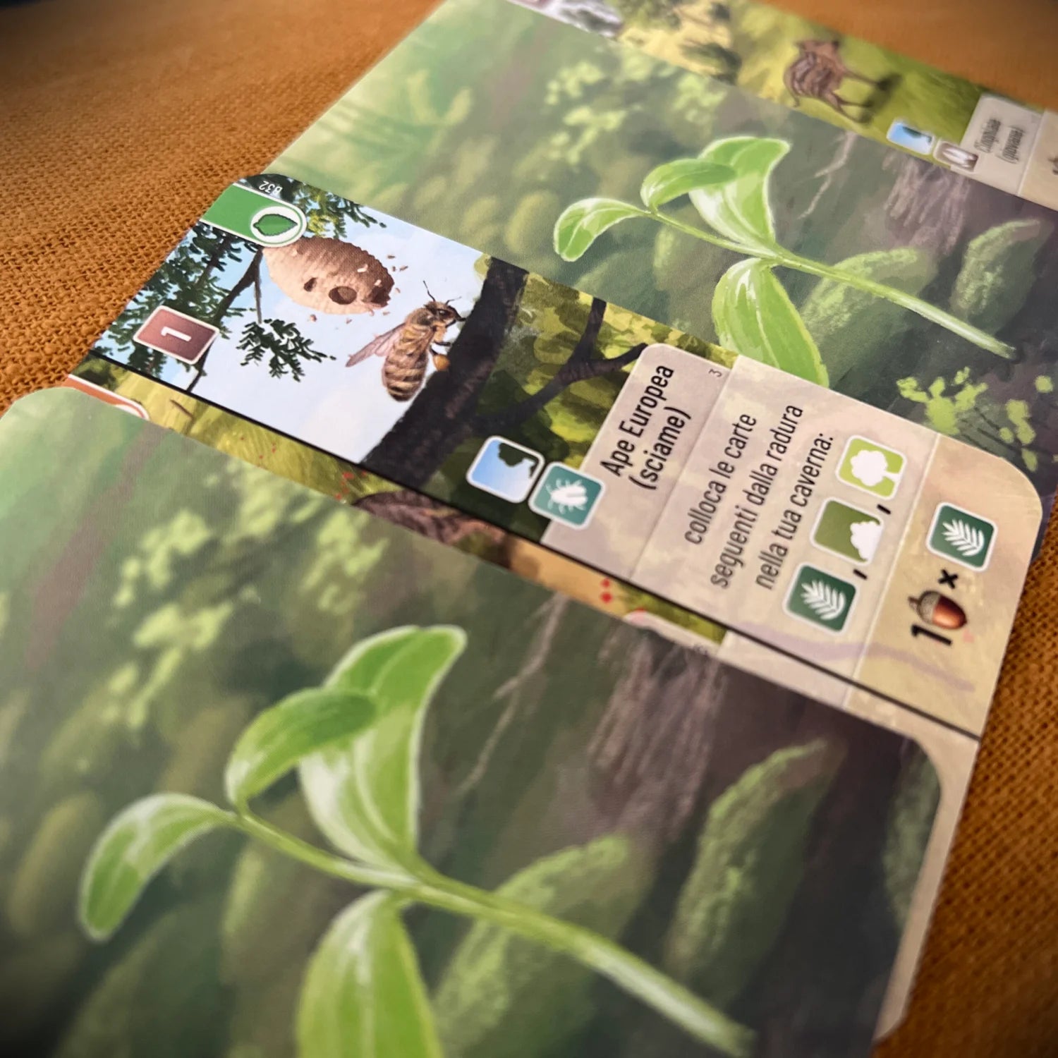 Forest Shuffle – Woodland Edge - Centroscuola