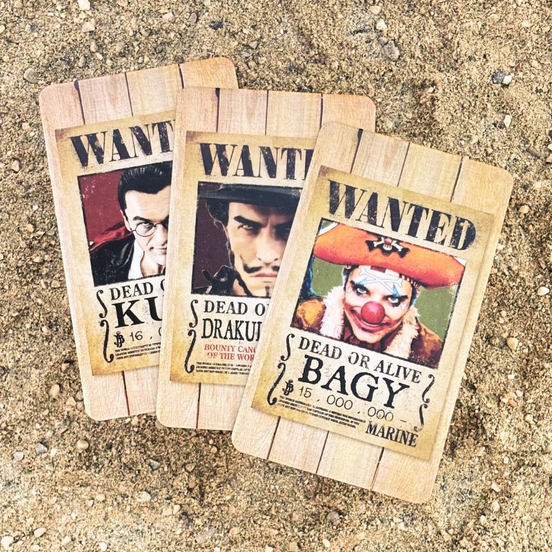 One Piece Escape Game - Caccia al Tesoro! - Centroscuola