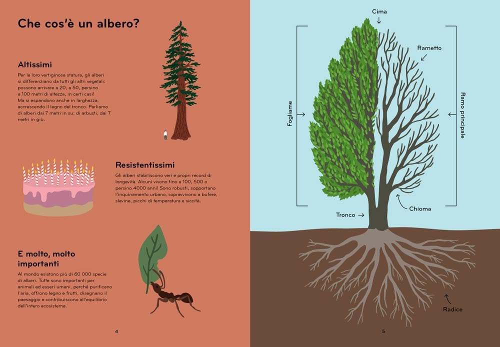 Arborama - Scopri e osserva il favoloso mondo degli alberi