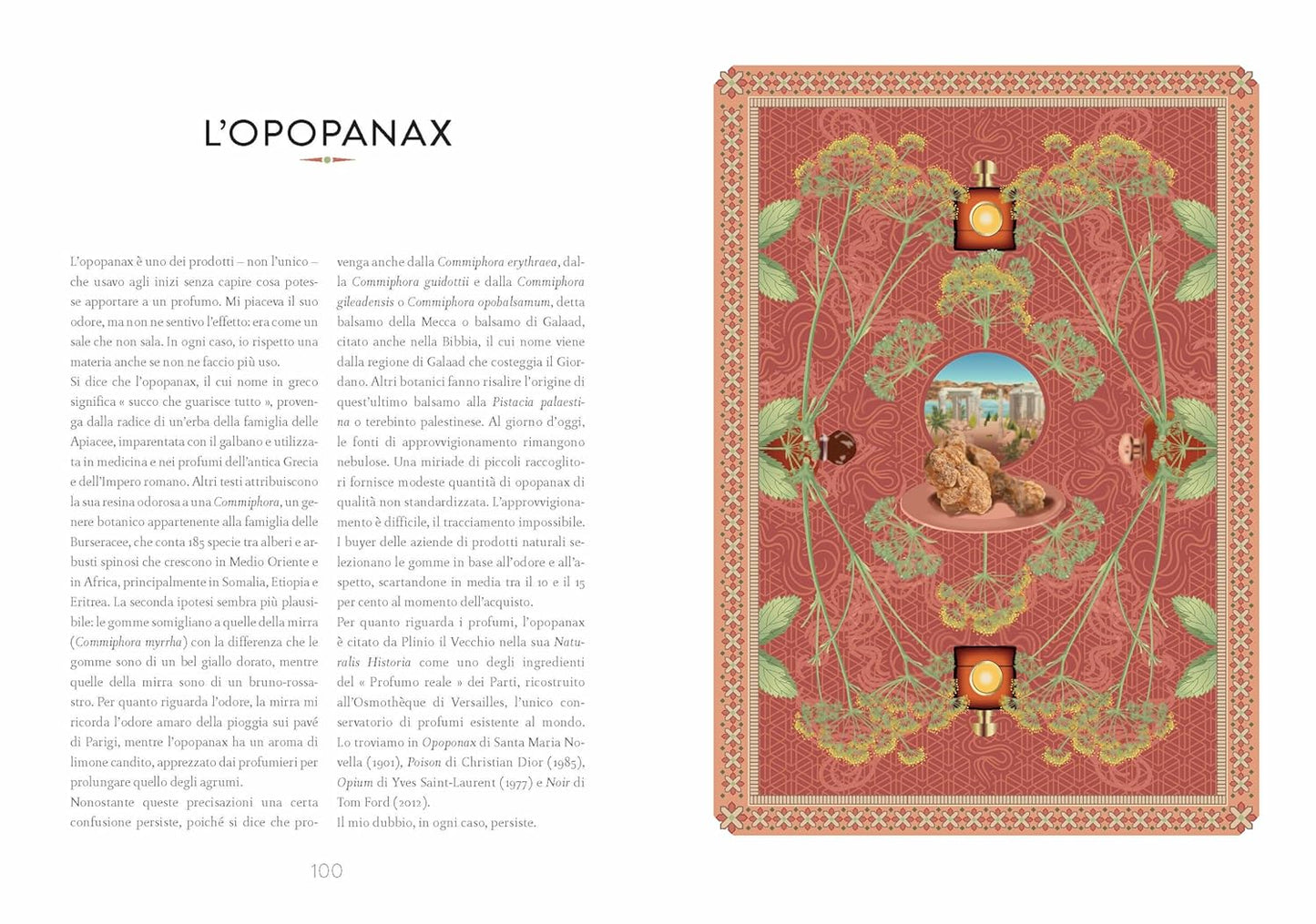 Atlante di botanica profumata - Essenze complementari - Centroscuola