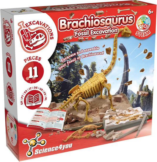 Excavation Fossil - Brachiosaurus