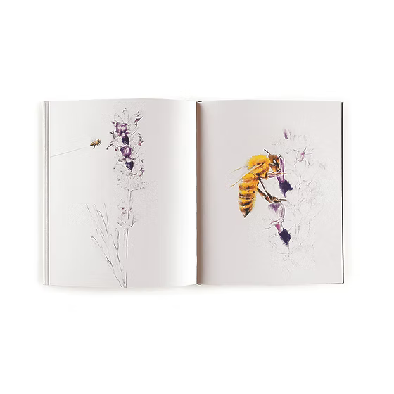 Floreali - Centroscuola