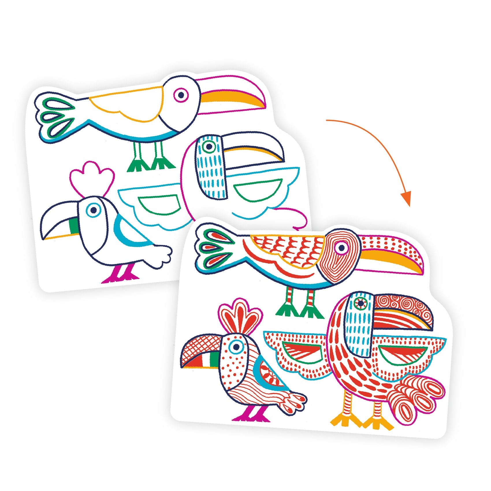 Famiglie selvatiche - Colora magico - Centroscuola