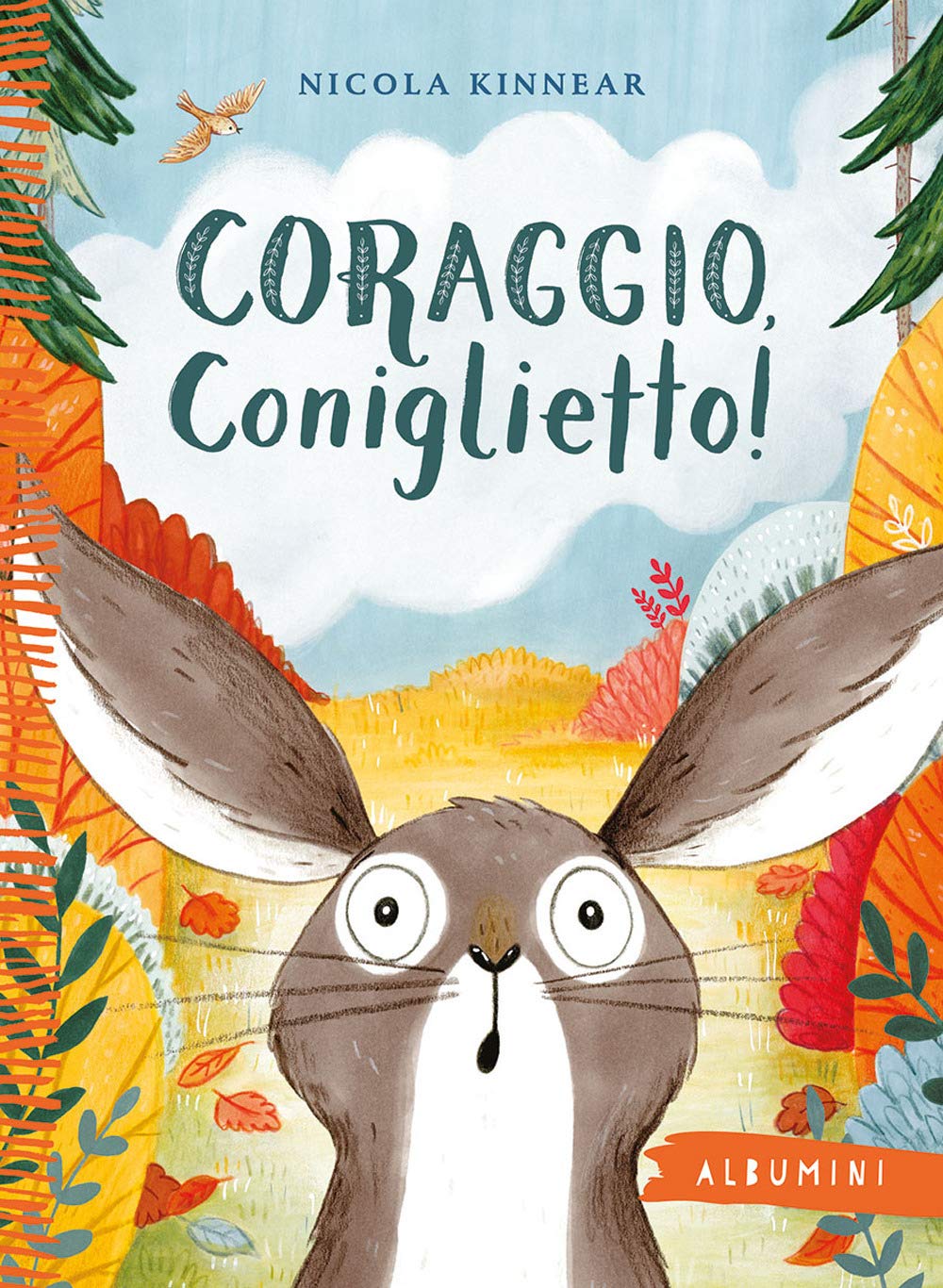 Coraggio, coniglietto! - Centroscuola