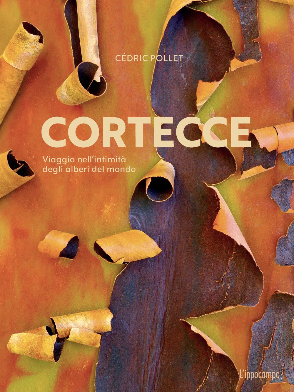 Cortecce