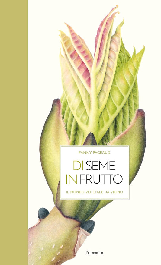 Di seme in frutto - Centroscuola