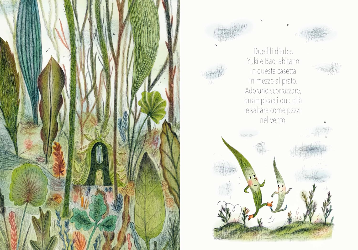 Fili d'erba - Centroscuola