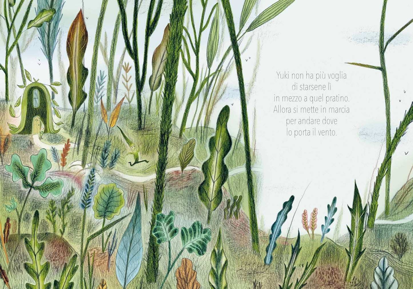 Fili d'erba - Centroscuola