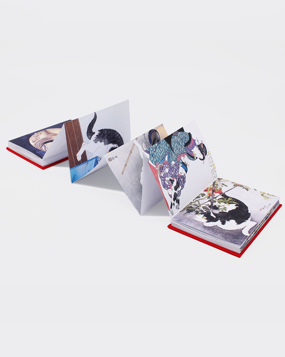 Gatti del Giappone - Jocelyn Bouquillard - L'Ippocampo - pagine interne 4