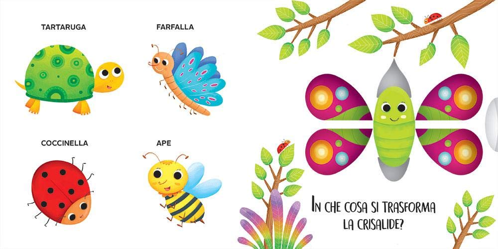 Muovi e scopri - Gli animali del bosco e del giardino