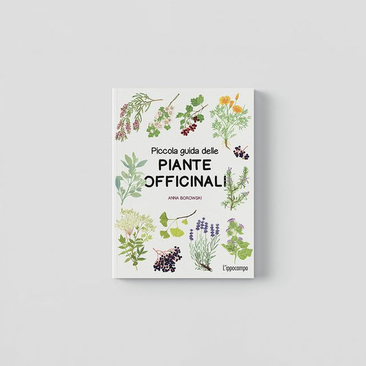 Piccola guida delle piante officinali - Centroscuola