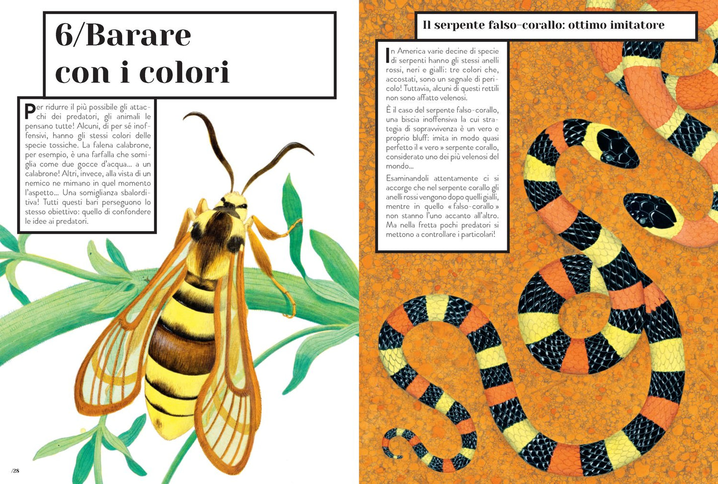 Coloranimale - Come gli animali usano i colori