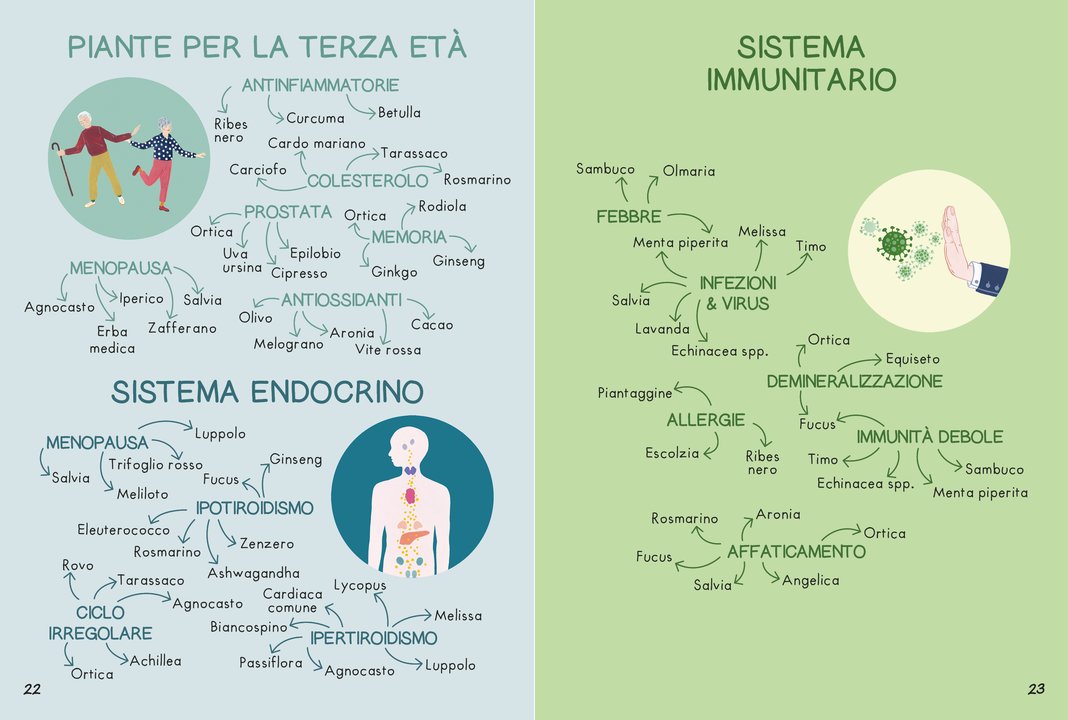 Piccola guida delle piante officinali - Centroscuola