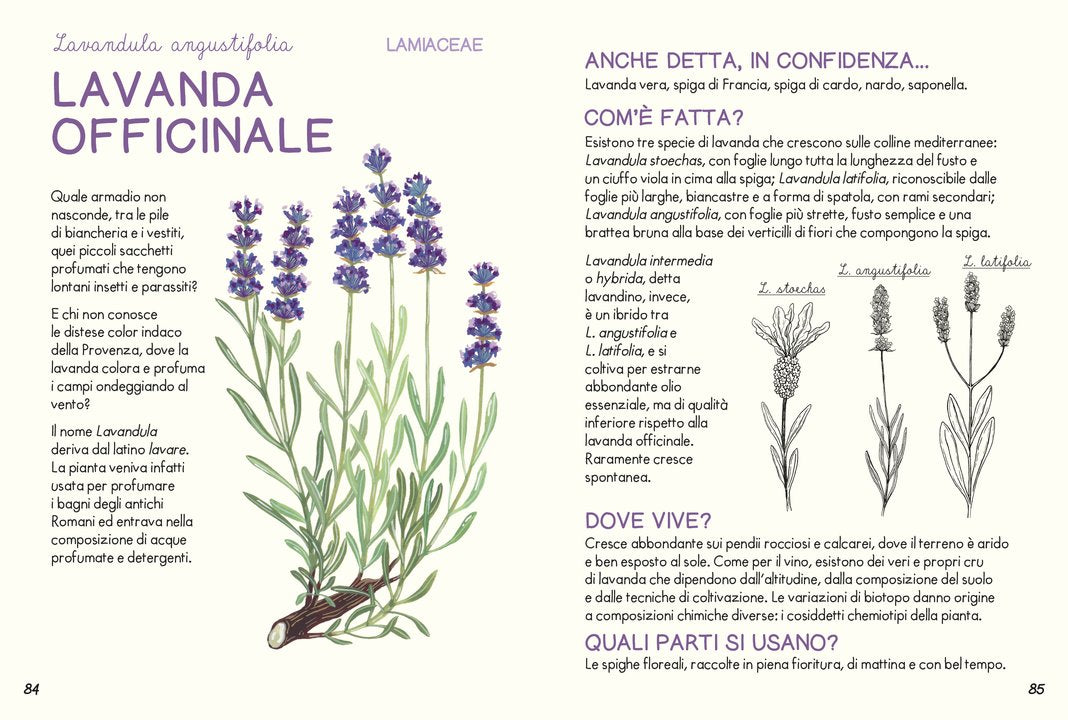 Piccola guida delle piante officinali - Centroscuola