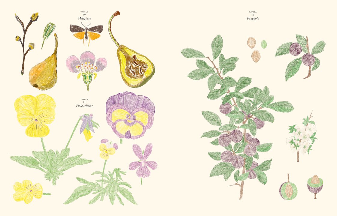 Il giardino - Centroscuola