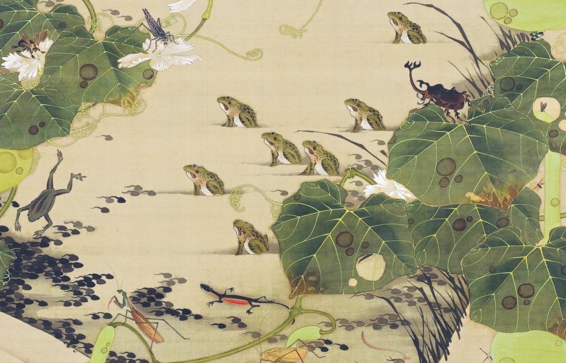Itō Jakuchū - Joséphine Bindé - L'Ippocampo - pagine interne 5