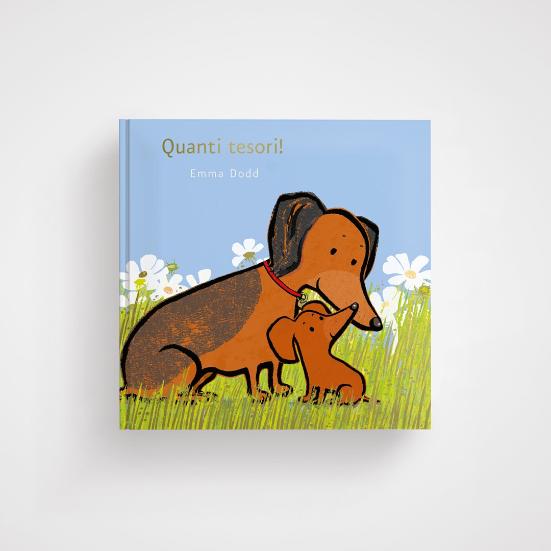 Quanti tesori! - L'Ippocampo - copertina