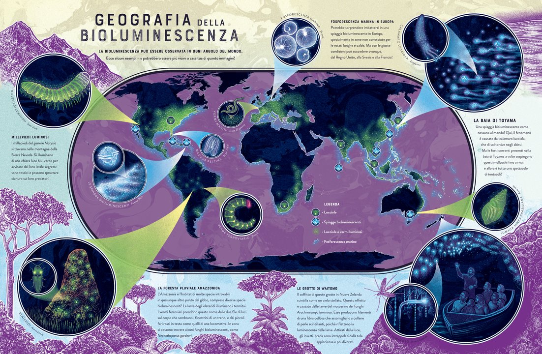 Bagliori - Le meraviglie nascoste della bioluminescenza - Centroscuola