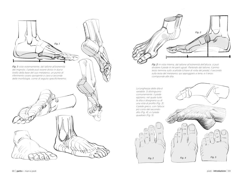 Anatomia artistica Vol. 3 - pagina interna 2