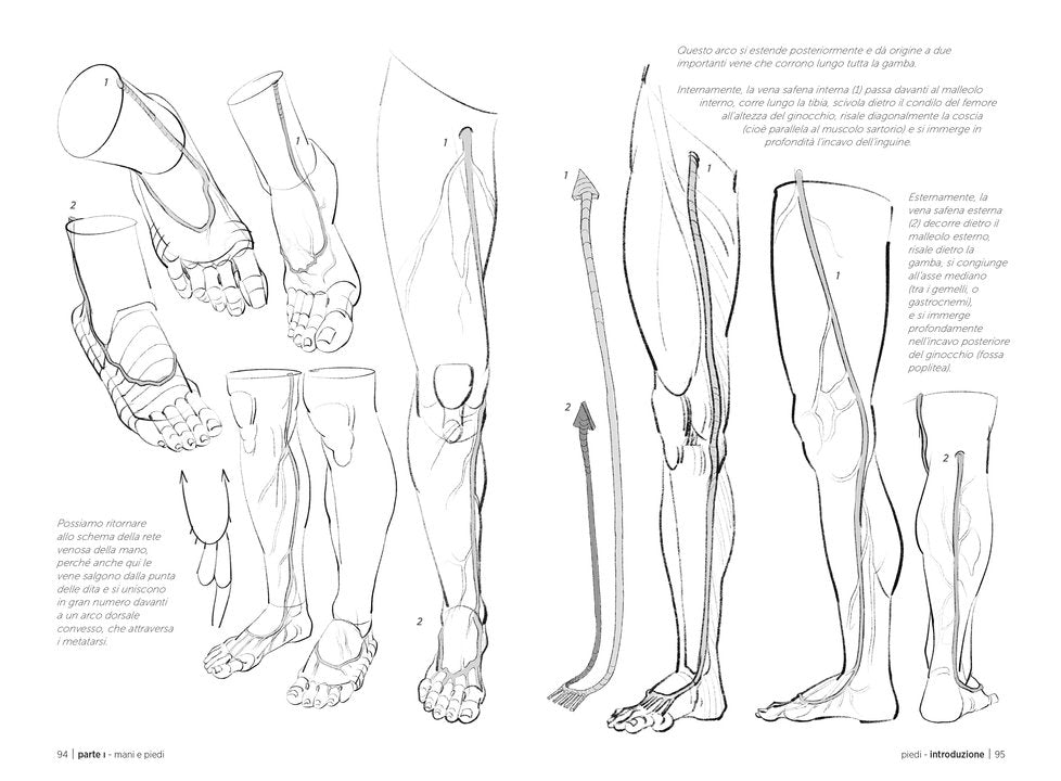 Anatomia artistica Vol. 3 - pagina interna 3