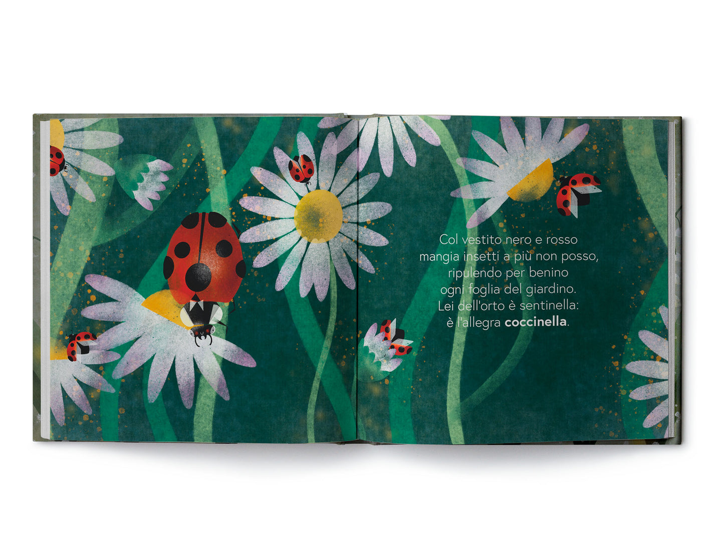 Filastrocche ronzanti - Centroscuola