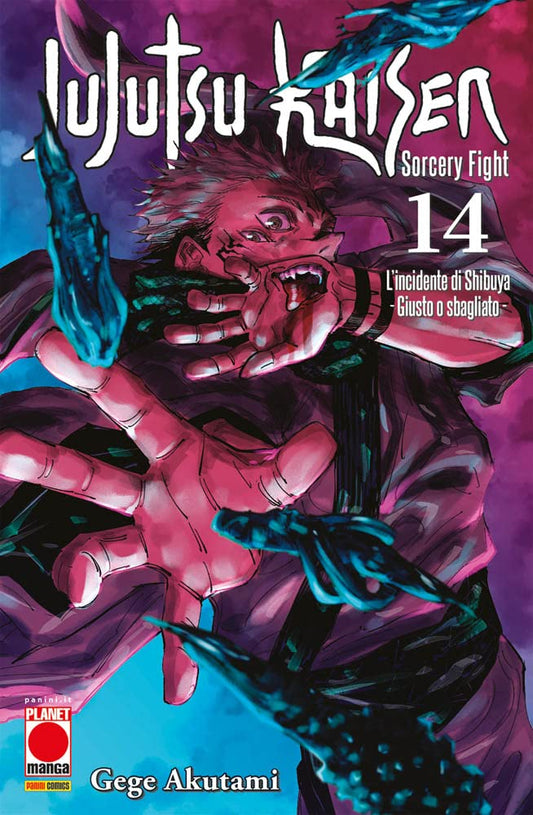 Jujutsu Kaisen. Sorcery Fight (Vol. 14)