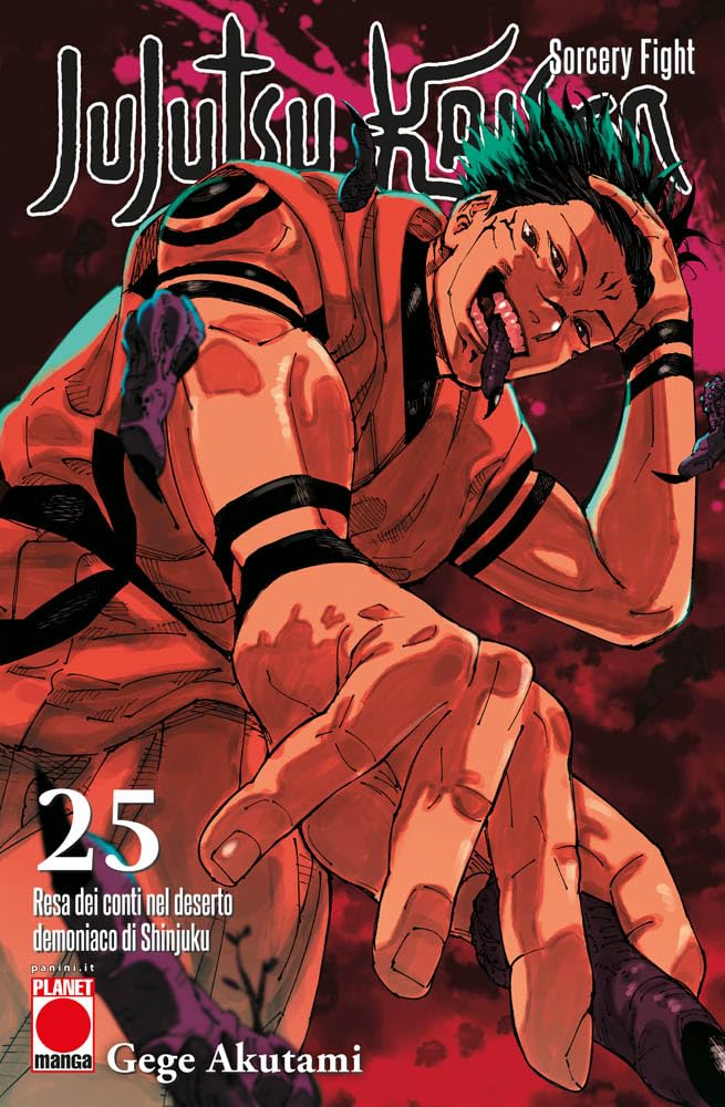 Jujutsu Kaisen. Sorcery Fight (Vol. 25)