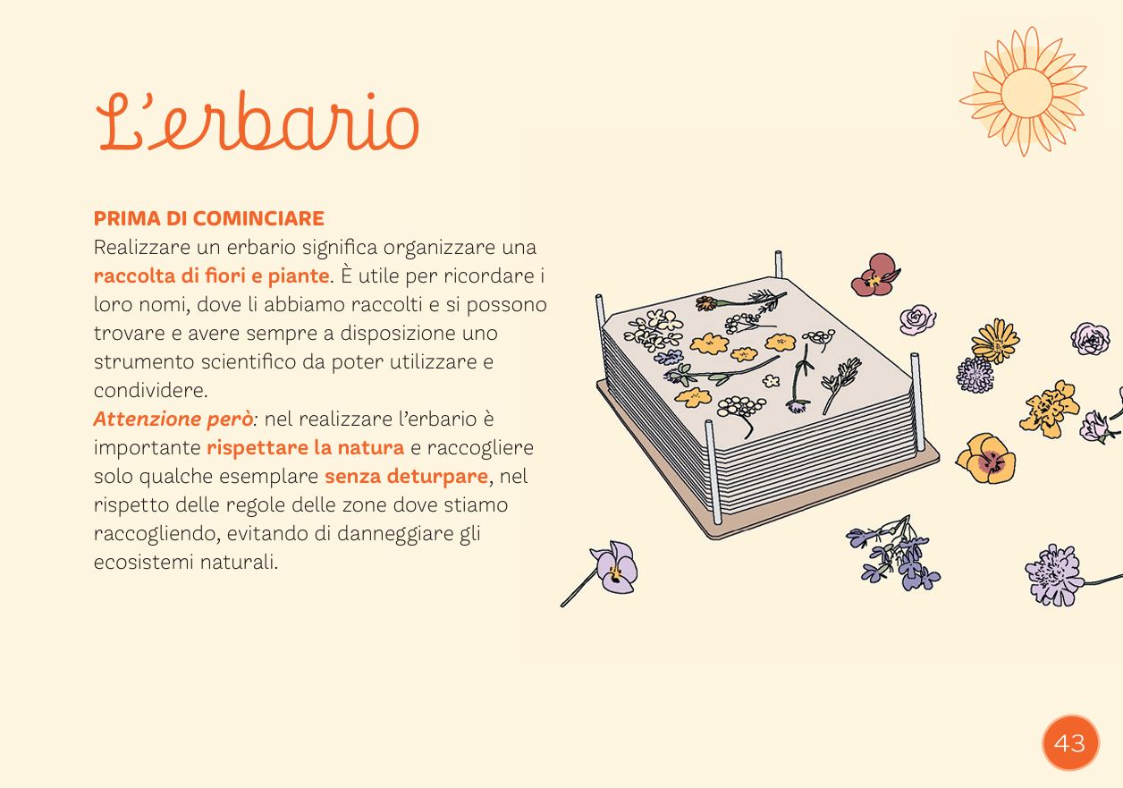 Laboratori nella natura: le 4 stagioni - Centroscuola