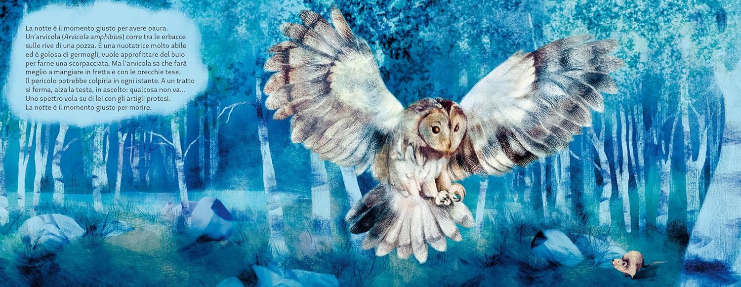 La famiglia allocchi - Centroscuola