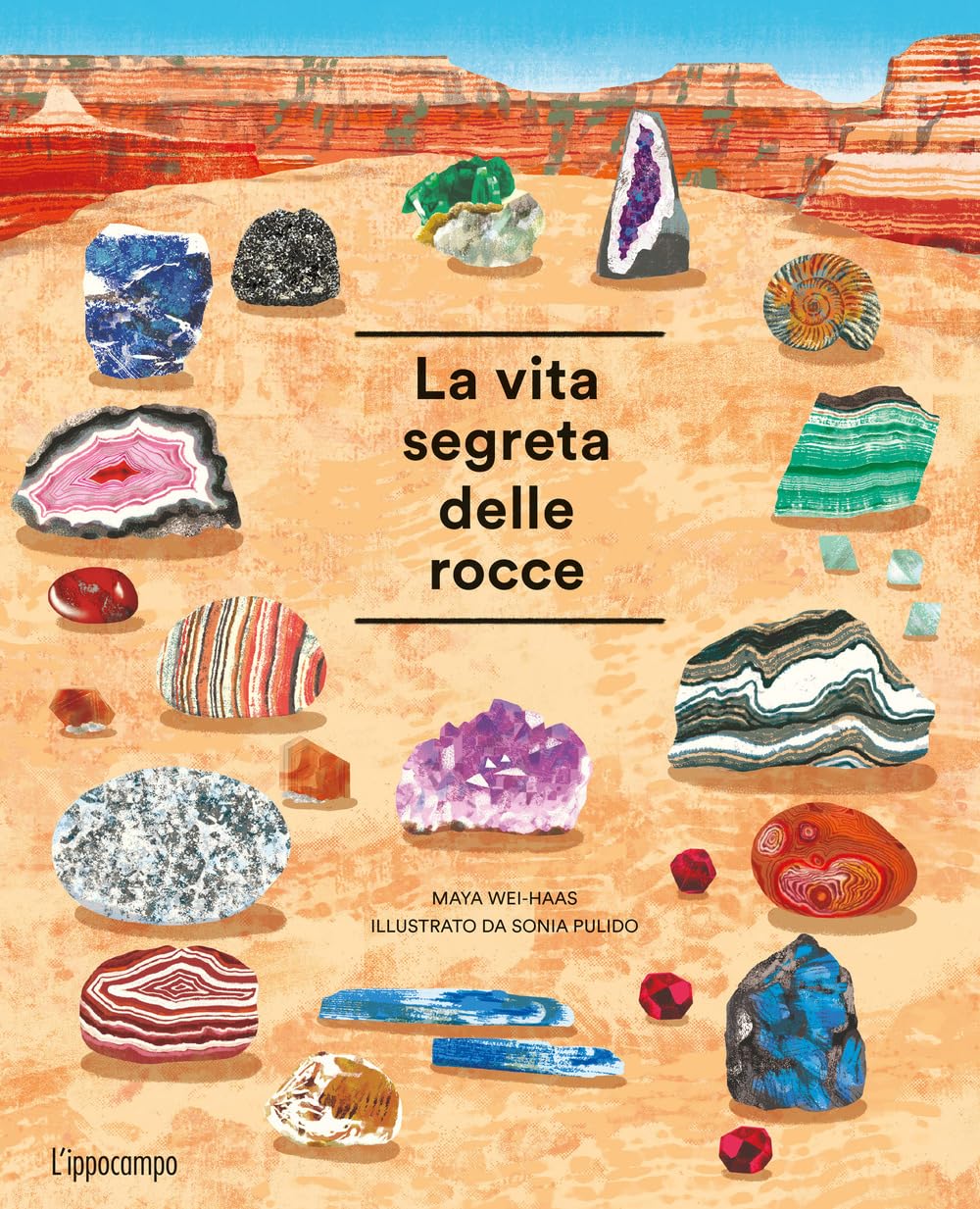 La vita segreta delle rocce